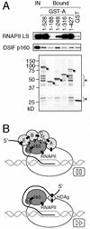 FIG. 8.