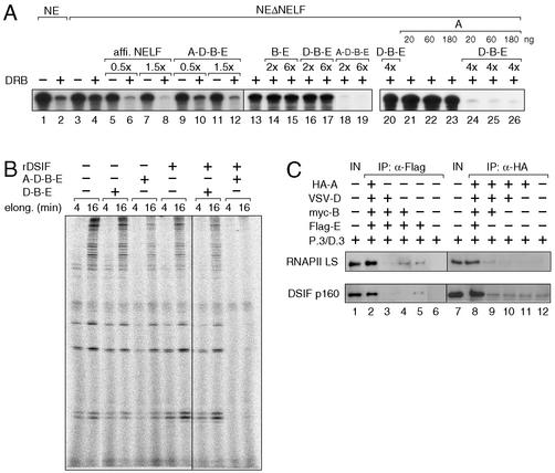 FIG. 5.