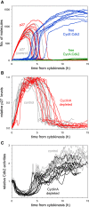 Figure 4