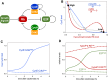 Figure 6