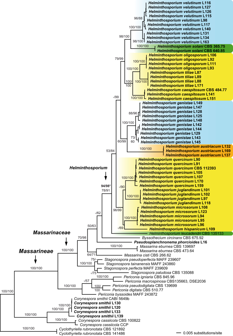 Fig. 2