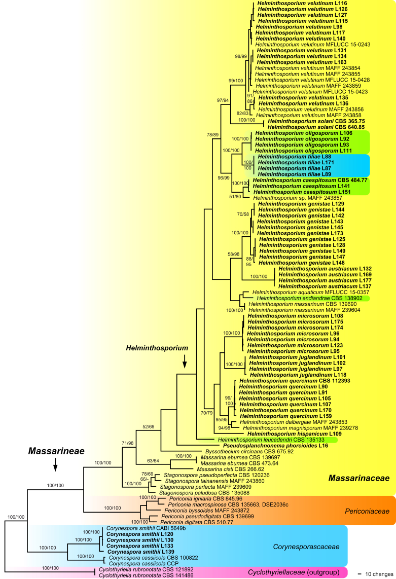 Fig. 1