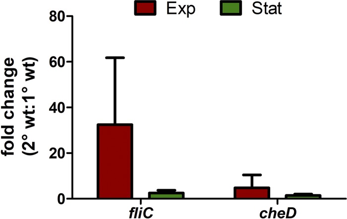 FIG 3