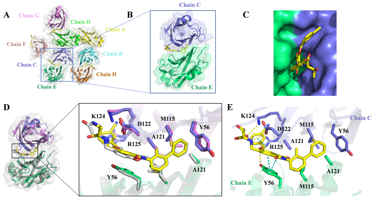 Figure 5