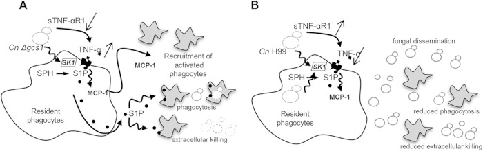 FIG 6