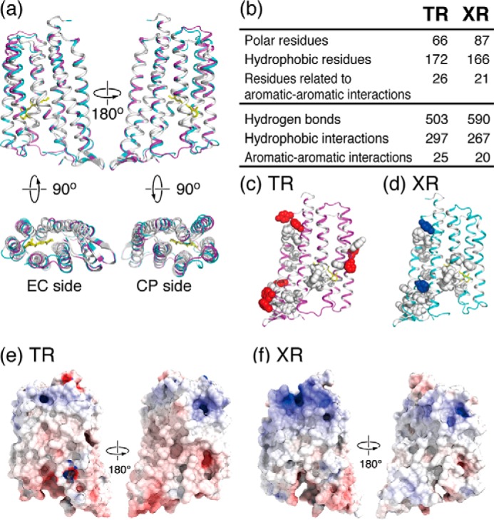 FIGURE 4.