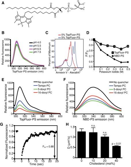 FIGURE 1: