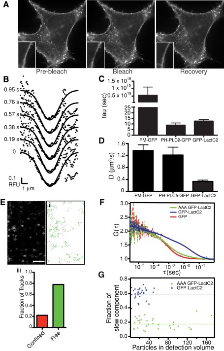 FIGURE 7: