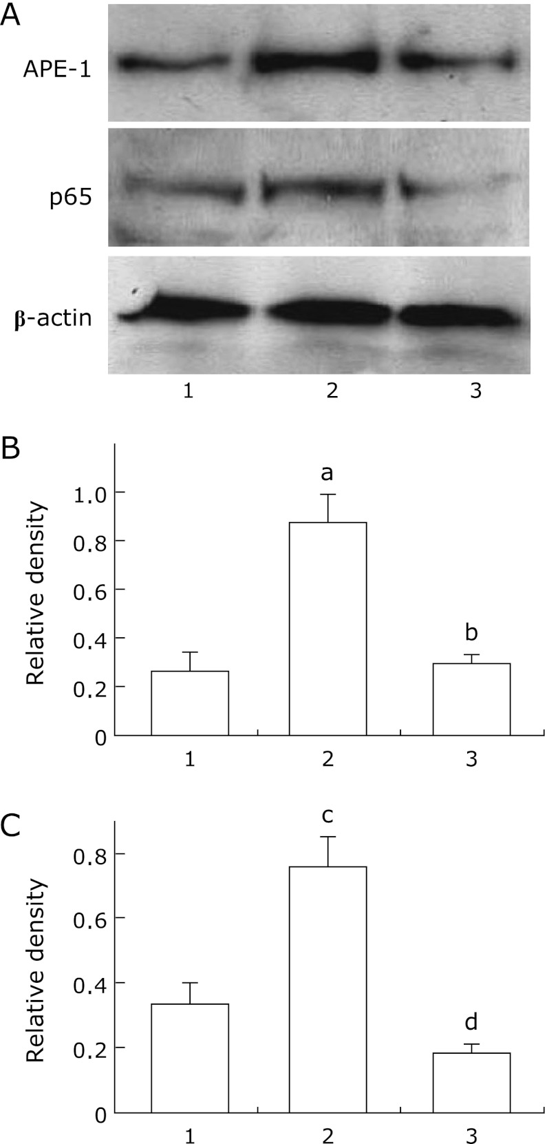 Fig. 5