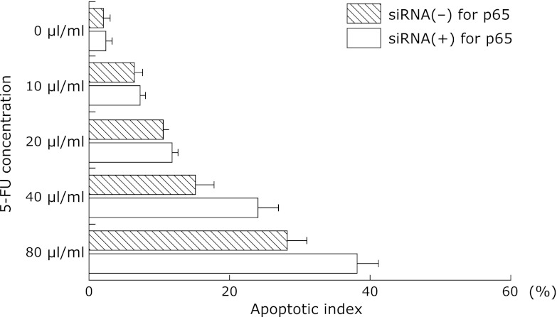 Fig. 7