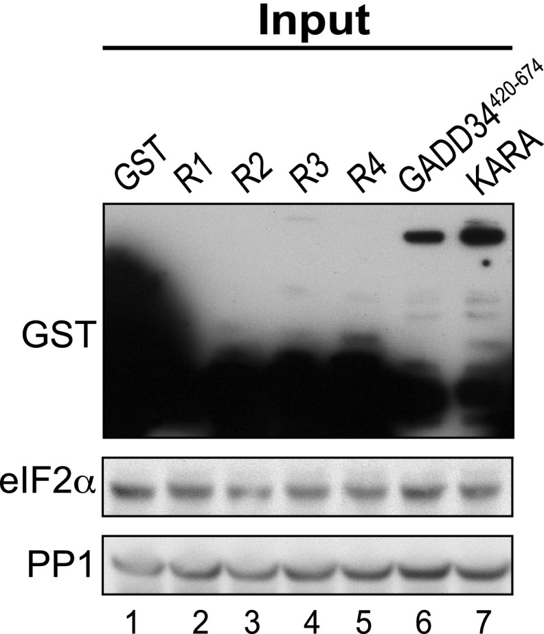 Fig. S2.