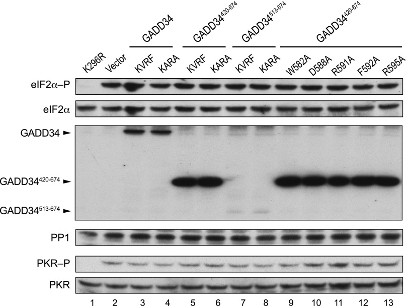 Fig. S1.