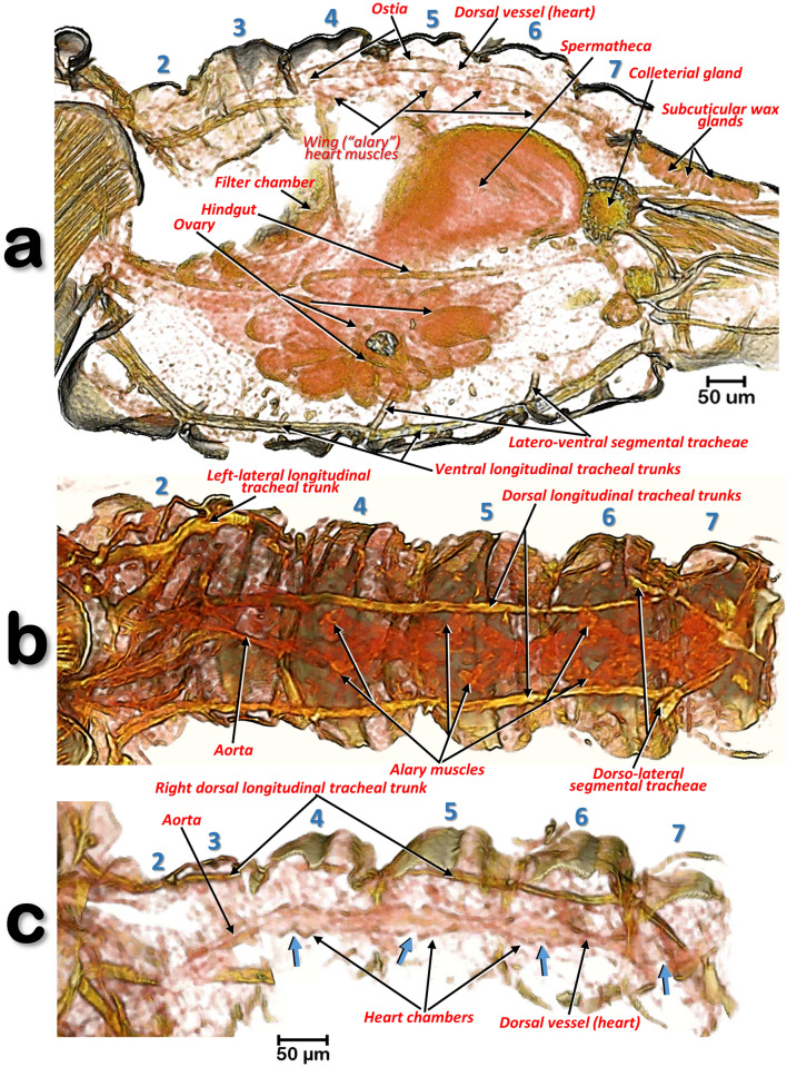 Figure 10