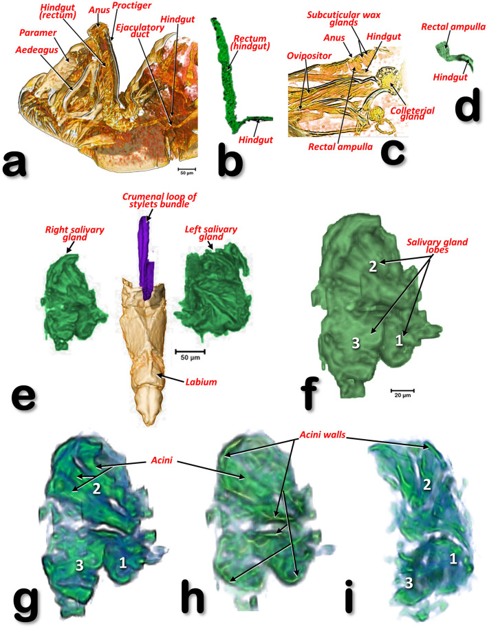 Figure 16