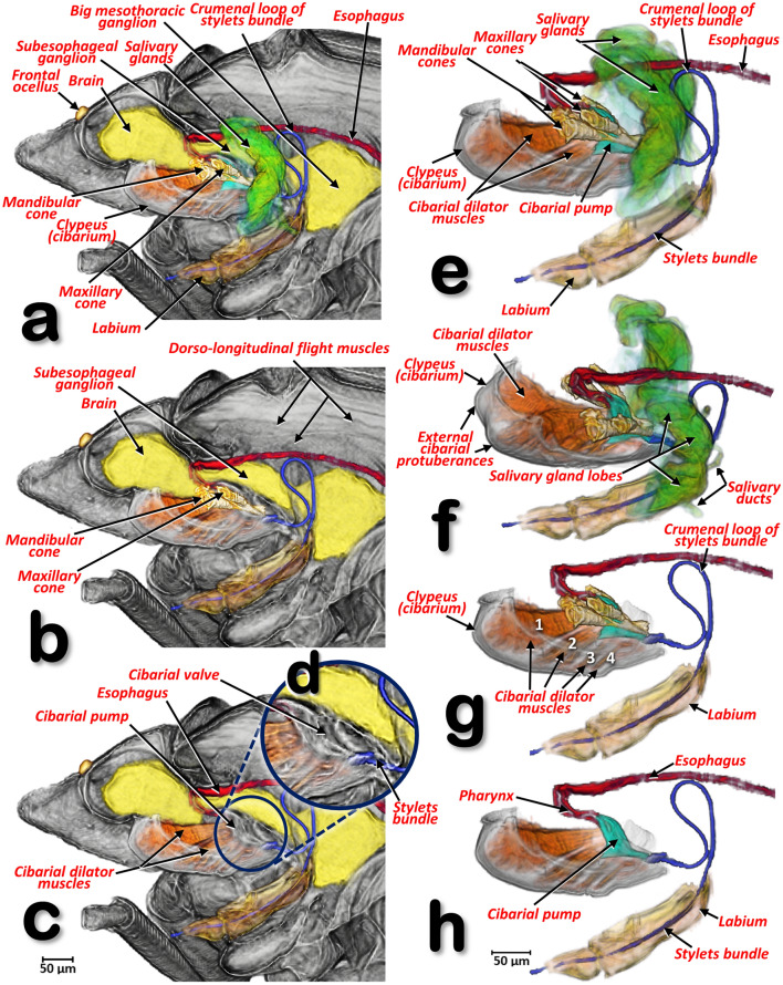 Figure 15