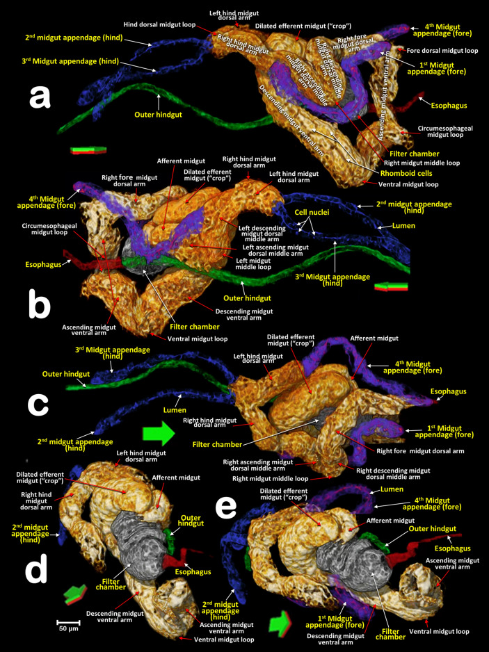 Figure 13