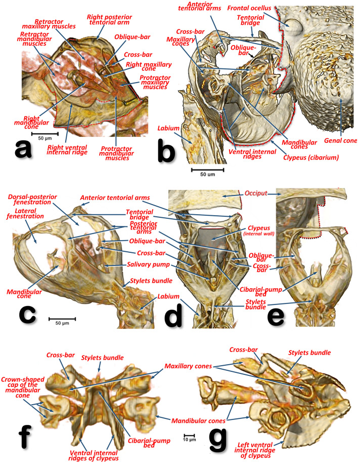 Figure 17