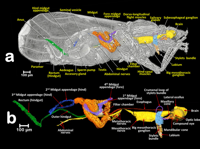 Figure 12