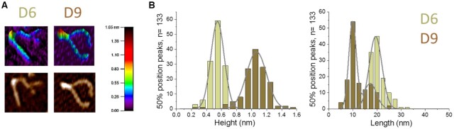 Figure 7.