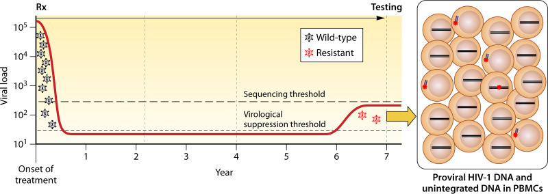 FIG 2