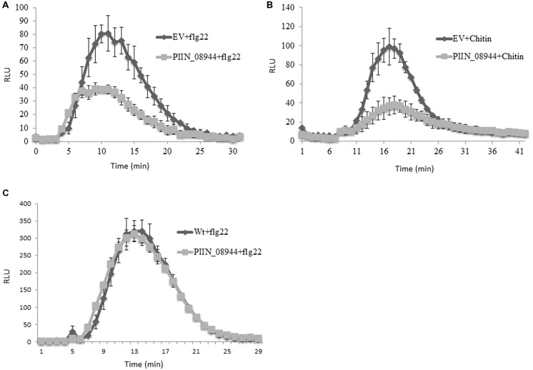 FIGURE 4