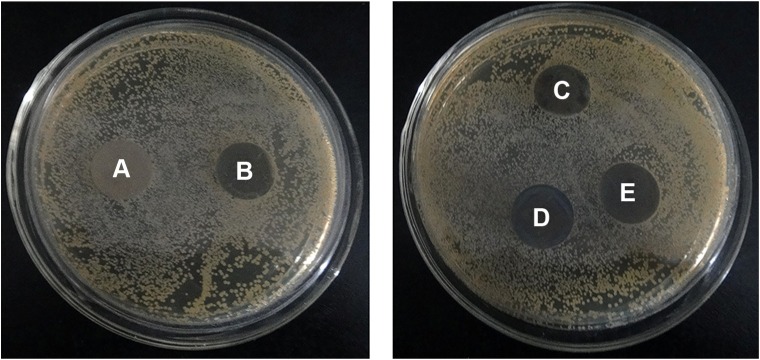 Figure 10