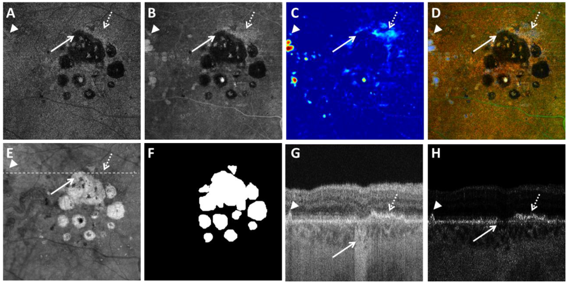 Figure 6: