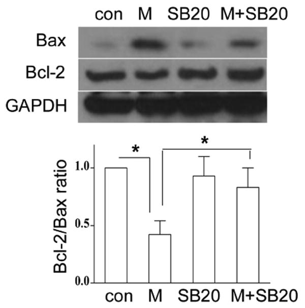 Fig. 6