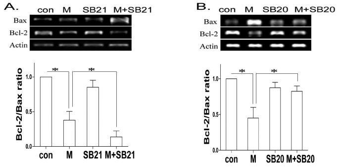 Fig. 9