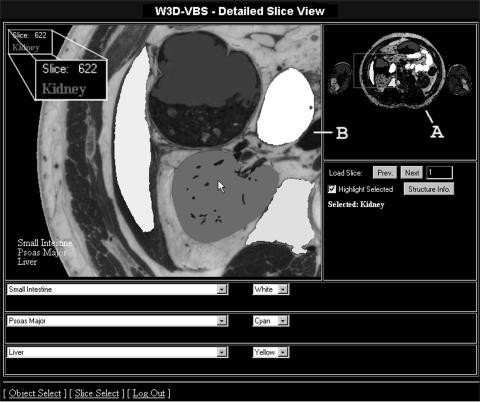 Figure 6 