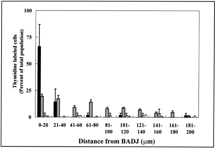 Figure 9.