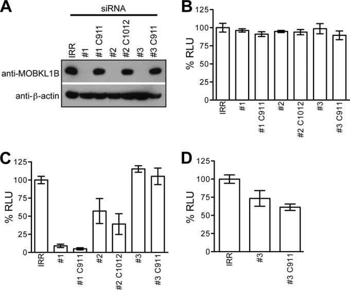 FIG 6