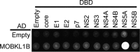 FIG 1