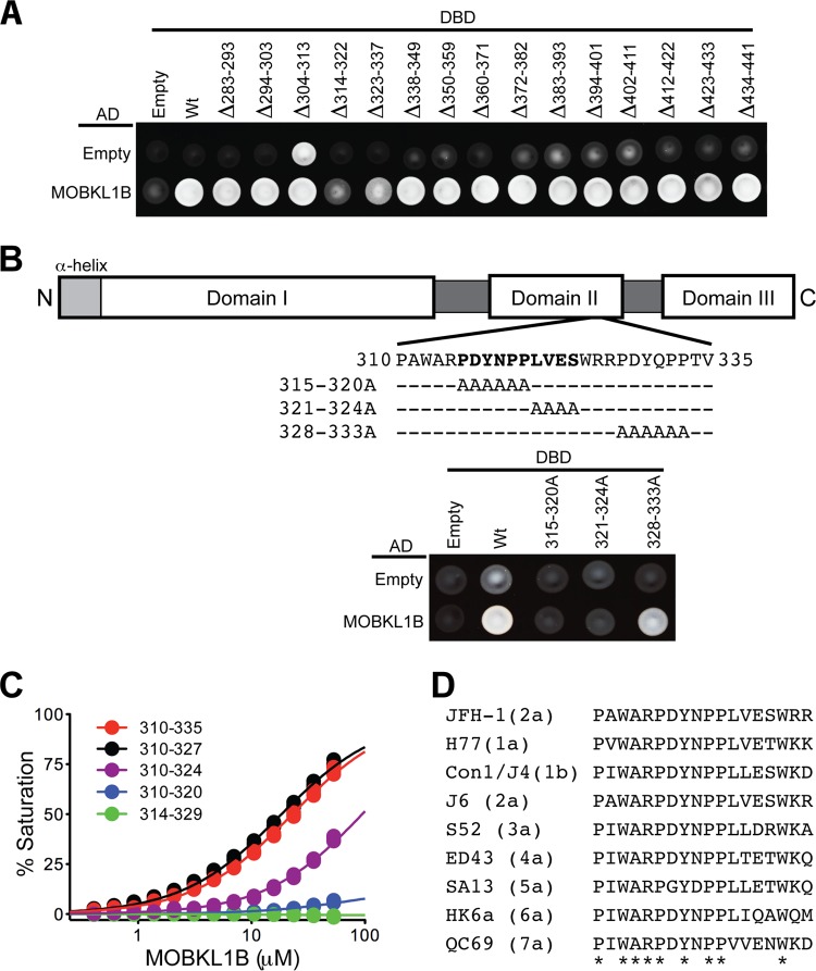 FIG 3