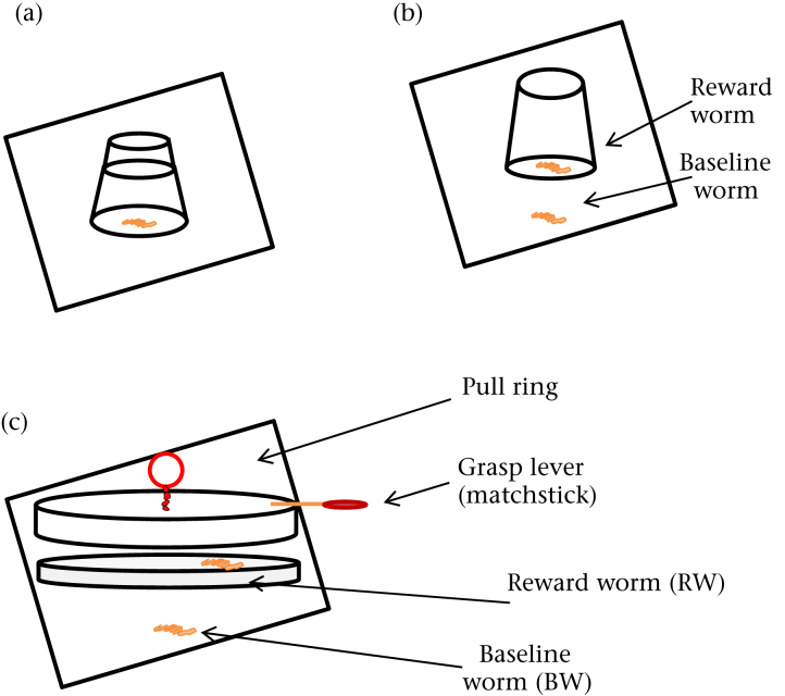 Figure 1