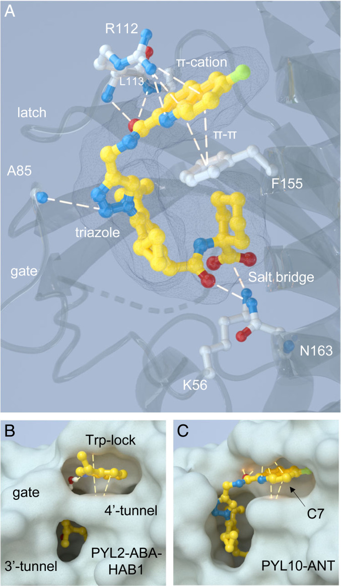 Fig. 3.