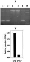 FIG. 7