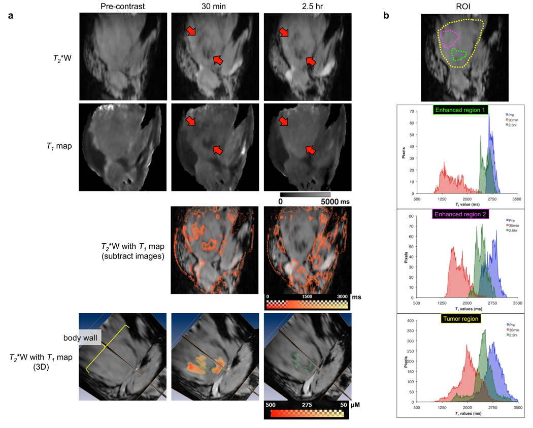 Fig. 3