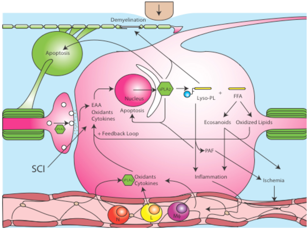 Fig. (4)