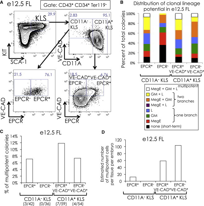 Figure 6