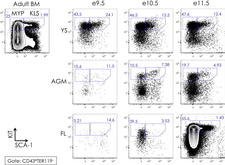 Figure 2