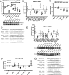 FIG 2