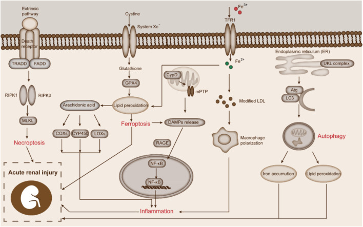 FIGURE 3