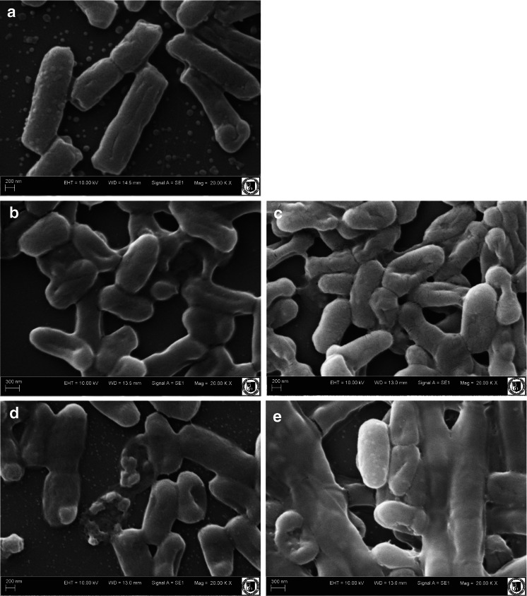 Fig 2a–e