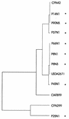 FIG. 1