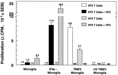 FIG. 7