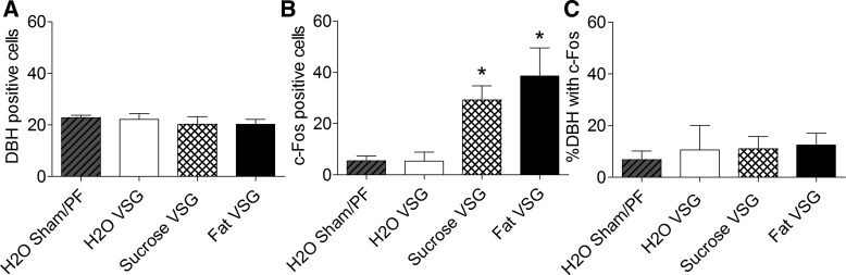 Fig. 10.