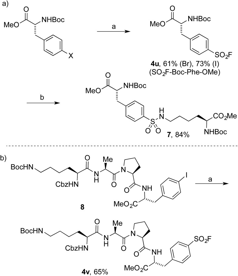 Scheme 2