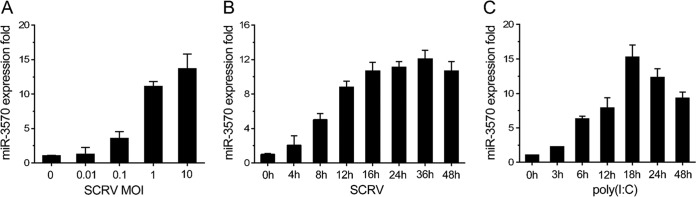 FIG 1