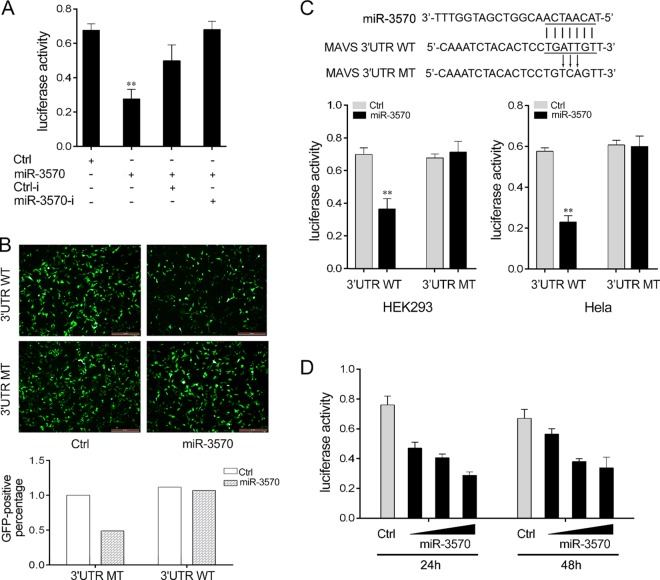 FIG 3